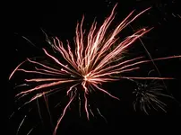 DSCN5318.webp
