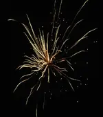 DSCN5319.webp
