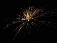 DSCN5320.webp