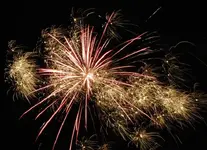 DSCN5321.webp