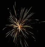 DSCN5322.webp