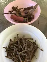 ImageUploadedByTreasureNet.com1530039714.723184.webp