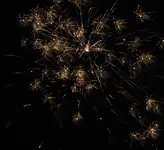 DSCN5323.webp