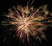 DSCN5324.webp