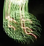 DSCN5328.webp