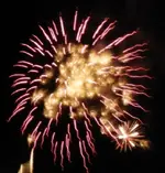 DSCN5346.webp