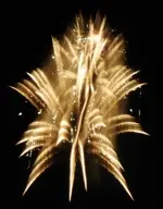 DSCN5330.webp