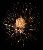 DSCN5334.webp