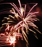 DSCN5336.webp