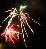 DSCN5337.webp