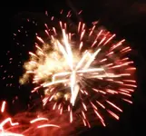 DSCN5338.webp