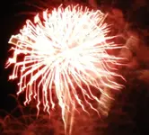 DSCN5339.webp