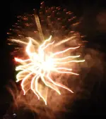 DSCN5340.webp