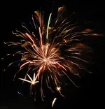 DSCN5341.webp