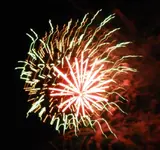 DSCN5342.webp