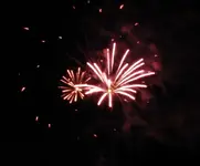 DSCN5343.webp