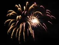 DSCN5344.webp