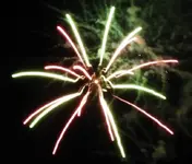 DSCN5345.webp