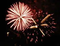 DSCN5347.webp