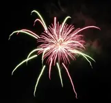 DSCN5361.webp