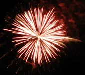 DSCN5348.webp