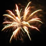DSCN5349.webp