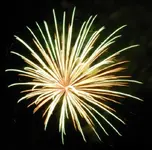 DSCN5350.webp