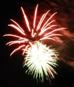 DSCN5351.webp