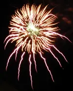 DSCN5352.webp