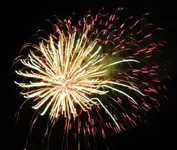 DSCN5355.webp