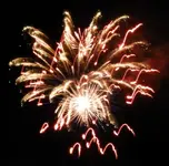 DSCN5357.webp