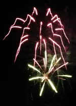 DSCN5358.webp