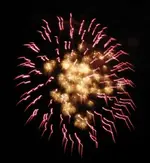 DSCN5359.webp