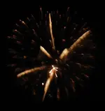DSCN5363.webp