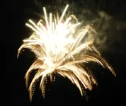 DSCN5364.webp