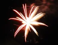 DSCN5366.webp
