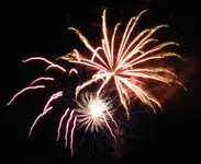 DSCN5367.webp