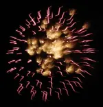 DSCN5368.webp