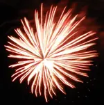 DSCN5369.webp