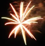 DSCN5370.webp