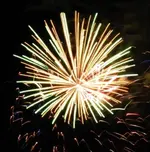 DSCN5371.webp