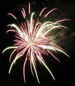 DSCN5373.webp