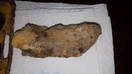 20180715_180344.webp
