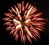 DSCN5374.webp
