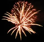 DSCN5375.webp