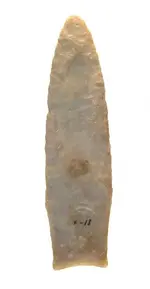 Brown Ohio.webp