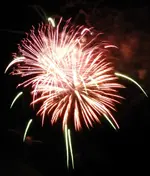 DSCN5378.webp