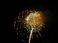 DSCN5490.webp