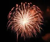 DSCN5479.webp