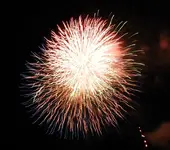 DSCN5480.webp